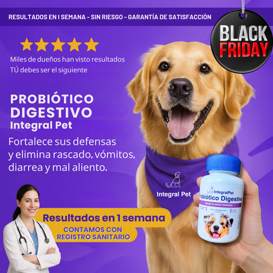 Bocados Integral Pet™️ | Probiotico 100% Natural | Recupera la Salud de tu Perro