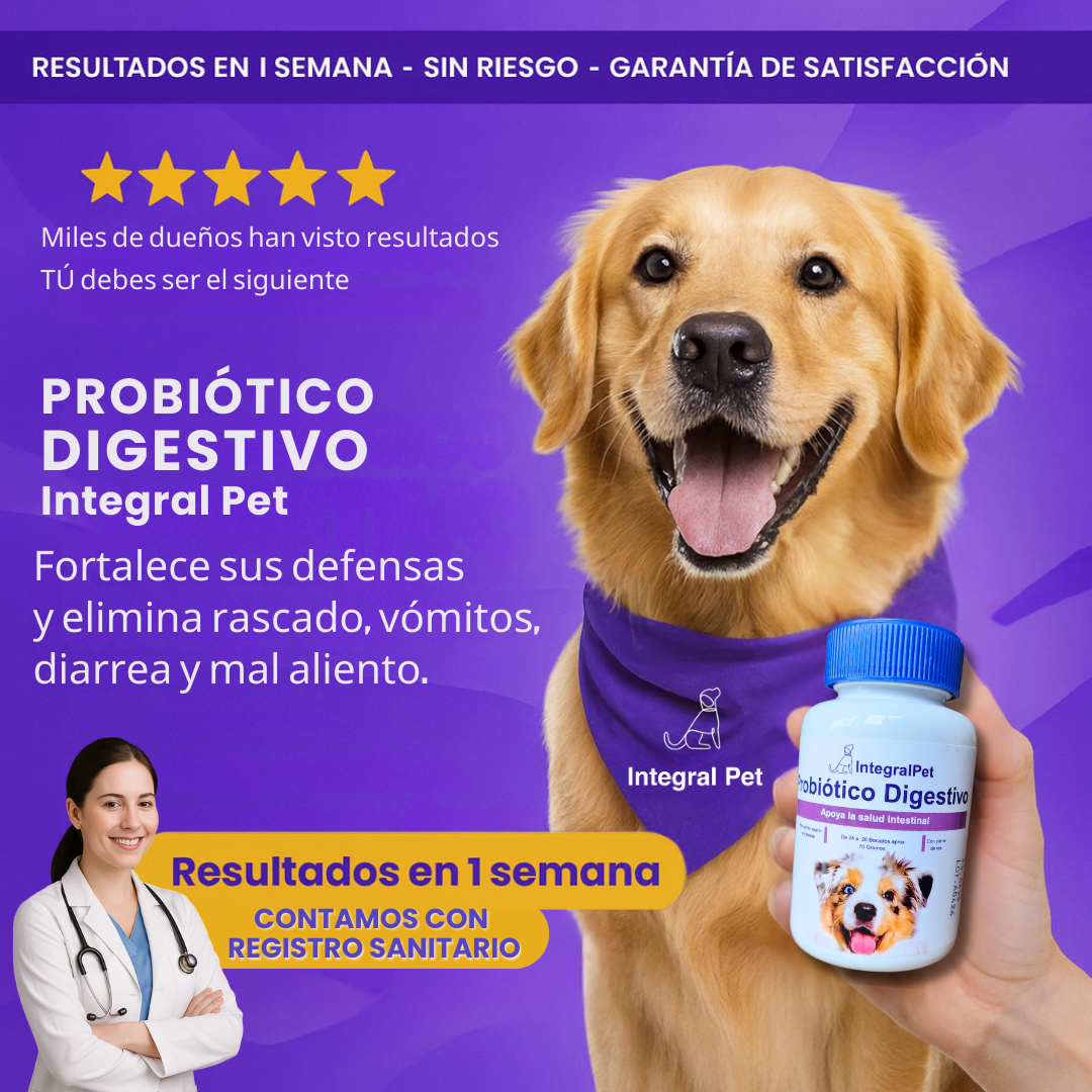 Bocados Integral Pet™️ | Probiotico 100% Natural | Recupera la Salud de tu Perro