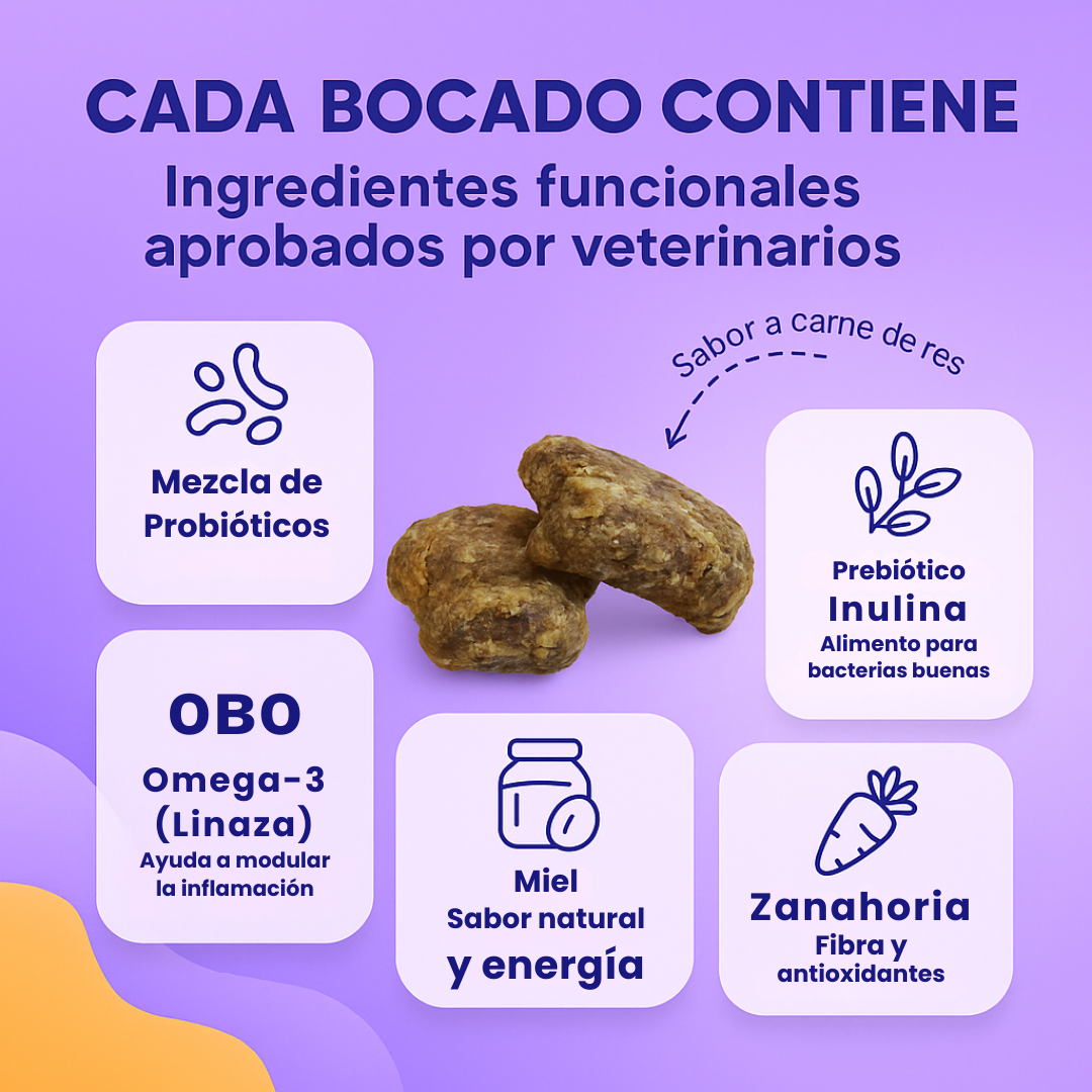 Bocados Integral Pet™️ | Probiotico 100% Natural | Recupera la Salud de tu Perro