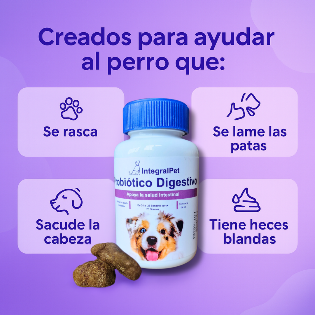 Bocados Integral Pet™️ | Probiotico 100% Natural | Recupera la Salud de tu Perro