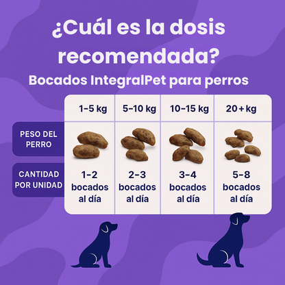 Bocados Integral Pet™️ | Probiotico 100% Natural | Recupera la Salud de tu Perro
