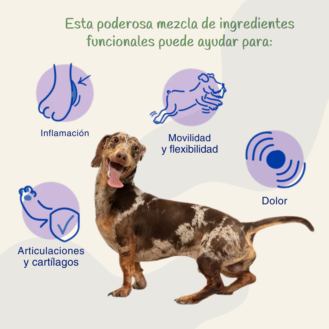 FlexiCan Forte™ Salud Articular y Movilidad Total