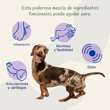 FlexiCan Forte™ Salud Articular y Movilidad Total