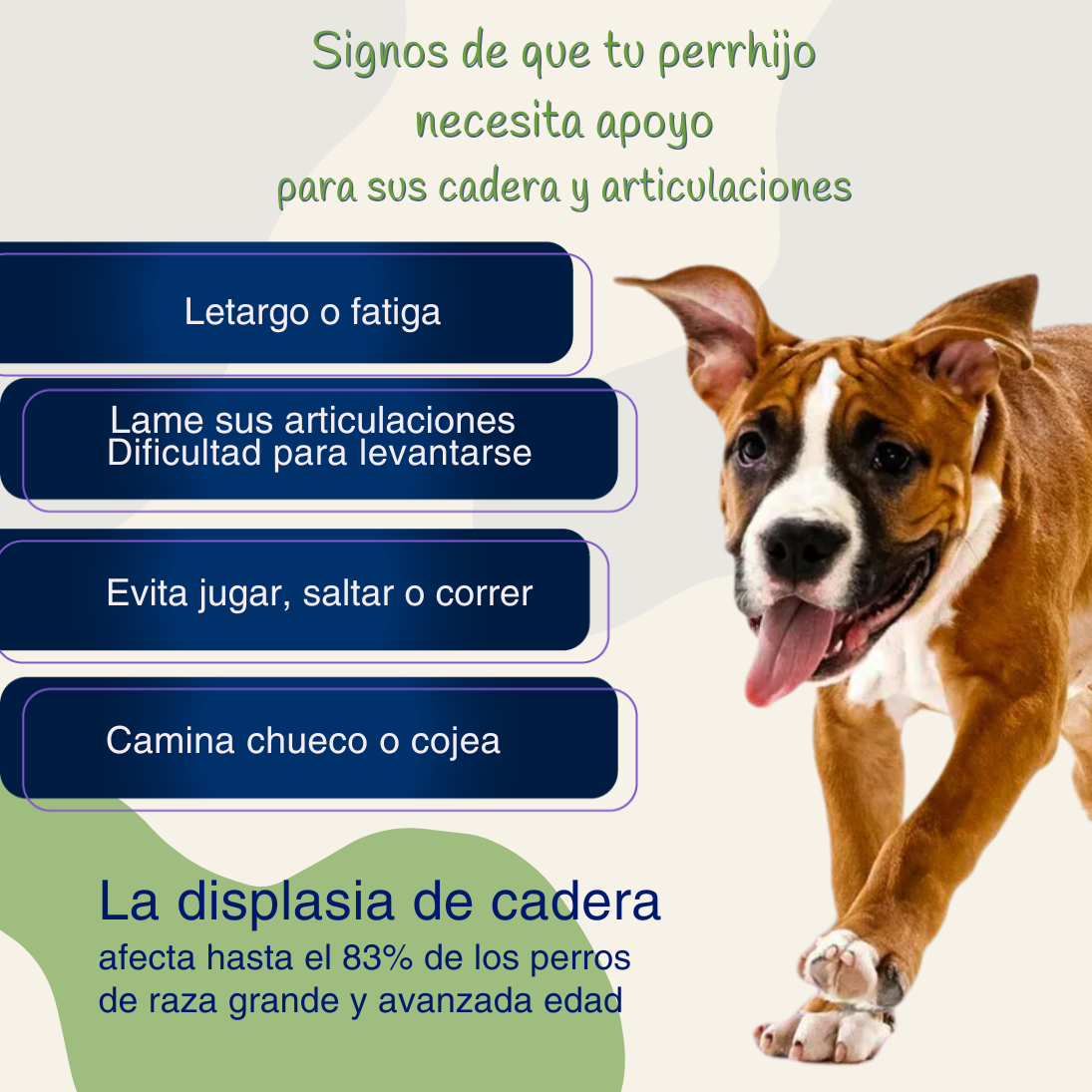 FlexiCan Forte™ Salud Articular y Movilidad Total