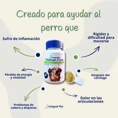 FlexiCan Forte™ Salud Articular y Movilidad Total